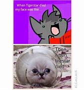 Image result for Gassy Cat Memes