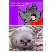 Image result for 2 Cats Meme