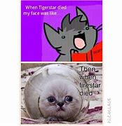 Image result for All Cat Memes