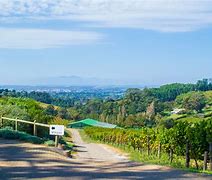 Image result for Where Is Constantia