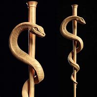 Image result for Asclepius Medical Symbol