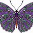 Image result for Purple Cartoon Butterflies