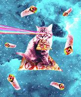 Image result for Cat in Outer Space Pizza