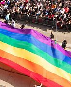 Image result for How Many People Support Pride