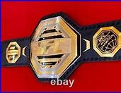 Image result for MMA Custom Title Belt