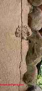 Image result for Natural Ledger Stone Veneer