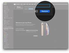 Image result for Transfer to Your New iPhone