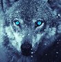 Image result for Dual Monitor Wallpaper Wolf