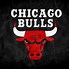 Image result for NBA Team Logo Bulls