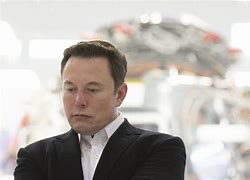 Image result for Tesla CEO Elon Musk