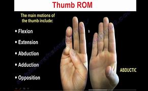 Image result for Thumb Opposition Movement