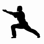 Image result for Sambo Martial Art