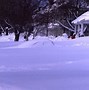 Image result for Blizzard of 78 Rhode Island