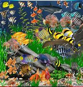 Image result for Tropical Fish Wallpaper iPhone