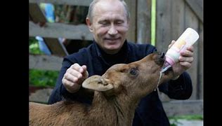 Image result for Putin Pets