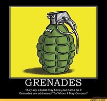 Image result for EDF Grenade Meme