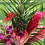 Image result for Decorating with Pineapples