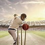 Image result for Cricket Stumps Print Out