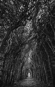 Image result for Creative White and Black Wallpaper