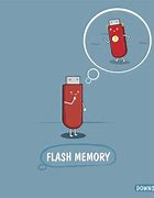 Image result for Flash Memory History
