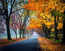 Image result for Fall Photos