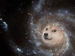 Image result for Know Your Meme Doge