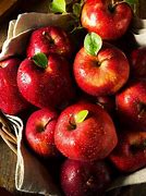 Image result for Delicious Apple Trees
