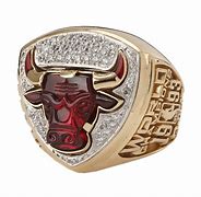 Image result for What Is a Bulls Ring For