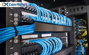 Image result for 24-Port Wall Mount Patch Panel