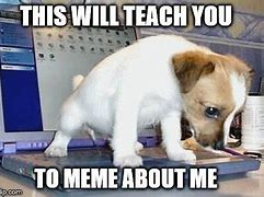 Image result for Offended Dog Meme