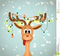 Image result for Funny Christmas Deer