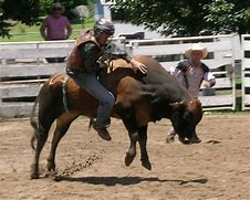 Image result for Rodeo Riding