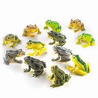 Image result for Tree Frog Rubber Toys
