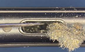 Image result for iPhone Port Lint