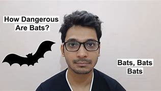 Image result for Most Dangerous Bat