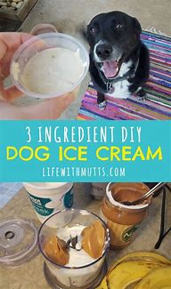 Image result for Homemade Dog Ice Cream Recipe