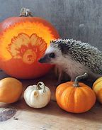 Image result for Hedgehog Pumpkin Stencil