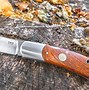 Image result for Parts of a Fixed Blade Hunting Knife