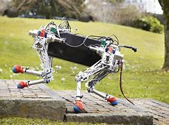 Image result for Best Walking Robot
