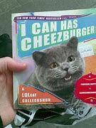 Image result for I Can Has Cheezburger