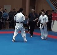 Image result for Chinese Kung Fu vs Japanese Karate
