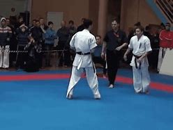 Image result for Martial Arts Karate Taekwondo