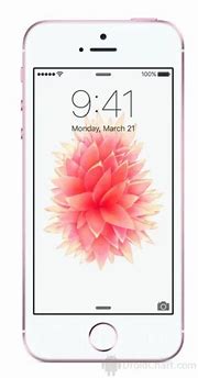 Image result for Apple iPhone SE Ee