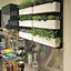 Image result for Indoor Herb Garden Ideas