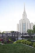 Image result for Mormon Crickets in Nevada