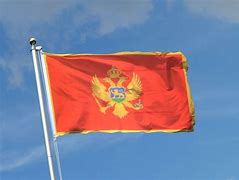 Image result for Montenegro Flag