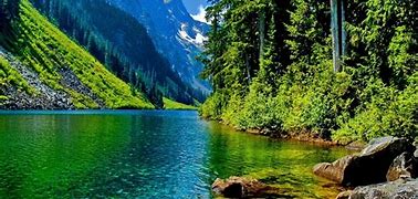 Image result for Best Nature Thumbnail