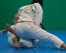 Image result for Brazilian Jiu Jitsu Grappling Dummy