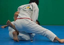 Image result for Vagabond Brazilian Jiu Jitsu