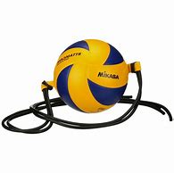 Image result for Mikasa Spike Volleyball